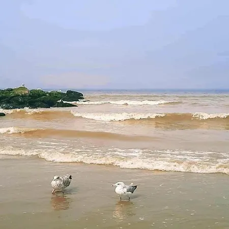 In Near The Beach, Cleaning Included Lägenhet